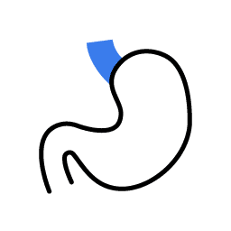 باطنة