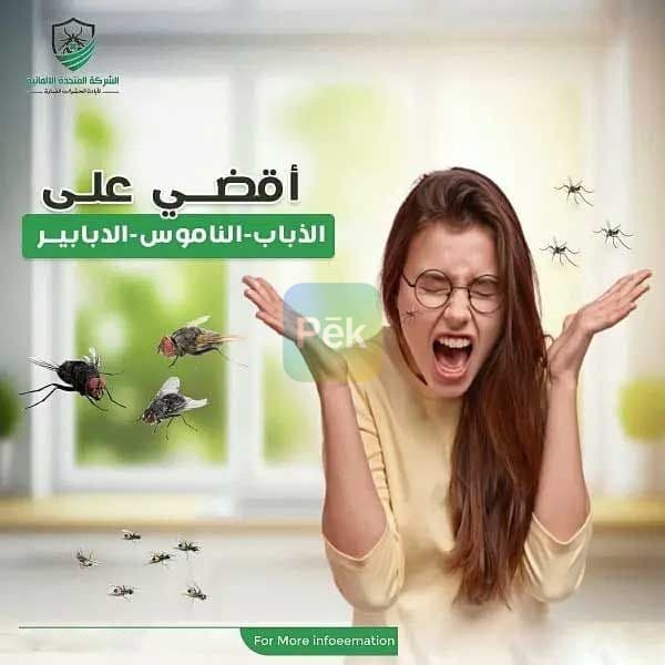 ابادة الحشرات والقوارض نهائياً في الشيخ زايد