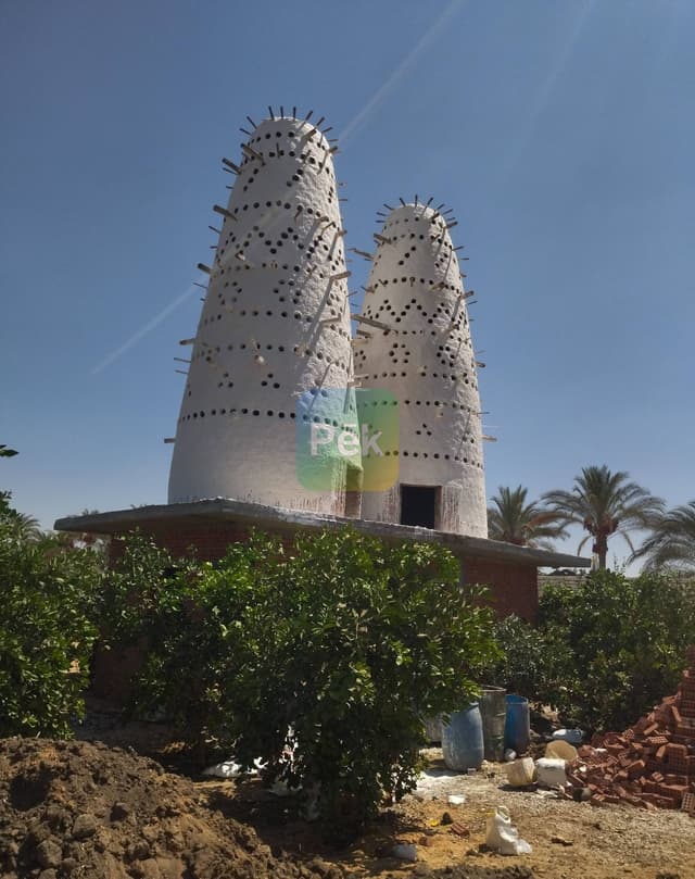 بناء ابراج حمام - مشروع مربح للشباب بالبحيرة