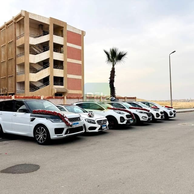 سيارات زفاف لليلة العمر بالمنصورة - هنخليك مميز